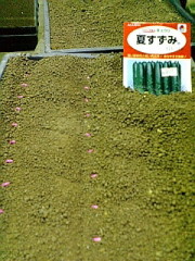 ���夦��μ�ޤ�